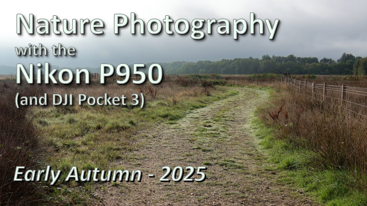 Фотосъемка природы с помощью Nikon P950 — начало осени 2025 года