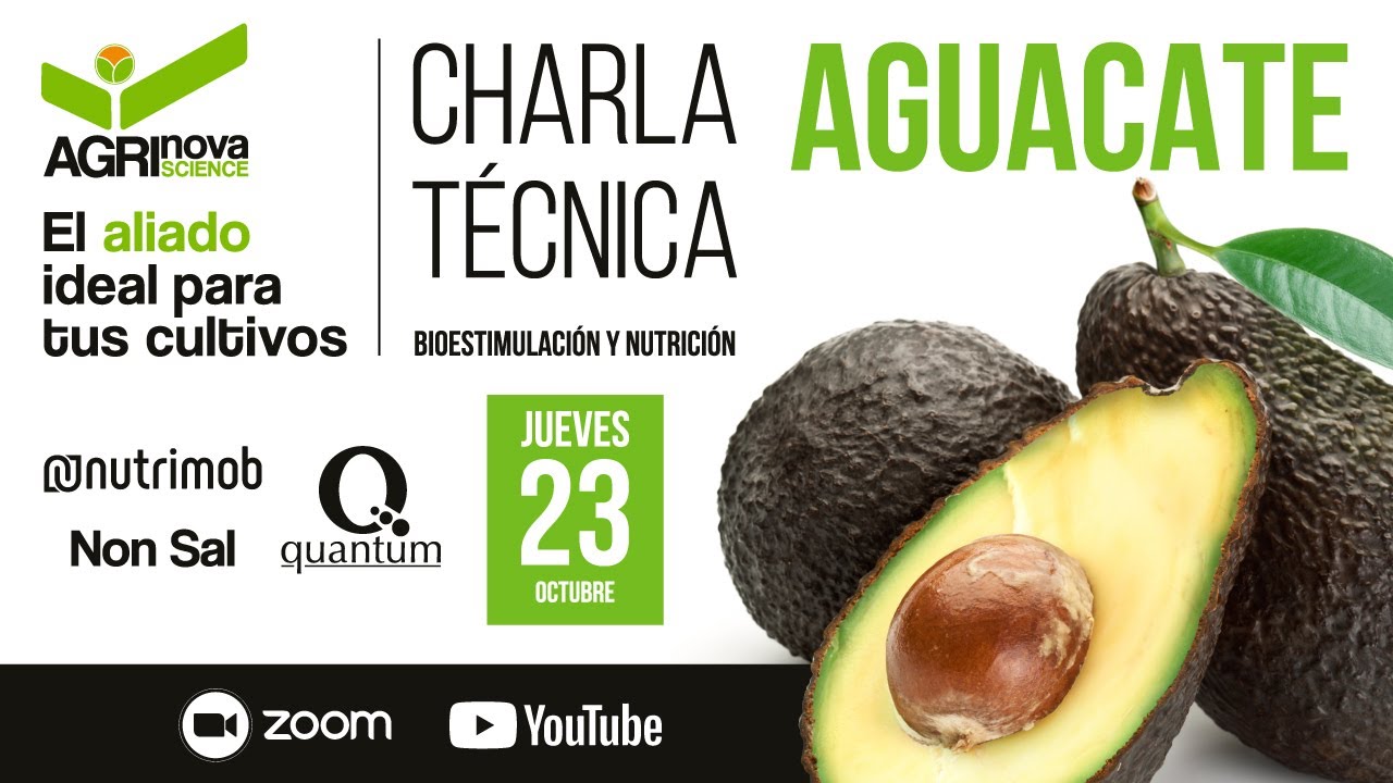 Bioestimulación y Nutrición en cultivo de Aguacate