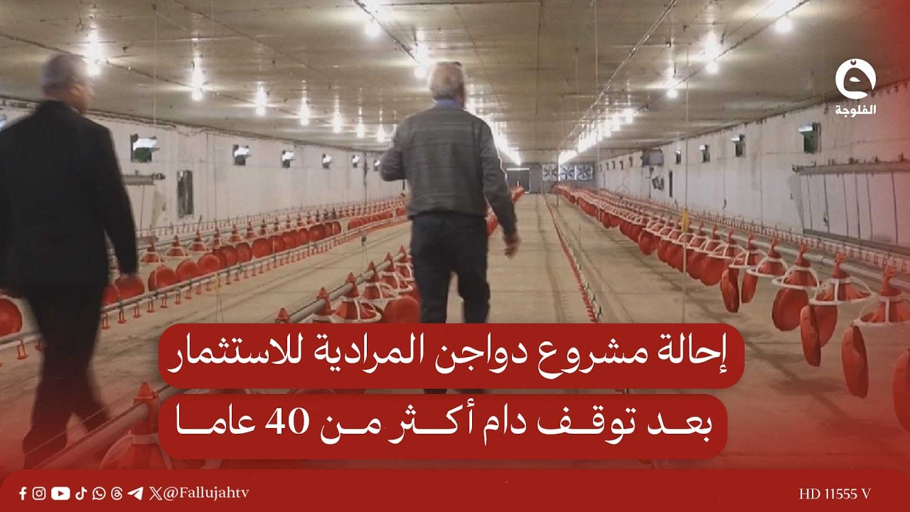 إحالة مشروع دواجن المرادية للاستثمار بعد توقف دام أكثر من 40 عاما#قناة_الفلوجة #أخبار