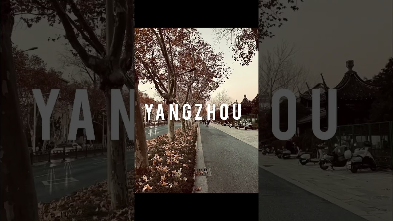 Autumn 🍂 in Yangzhou #yangzhou #china #autumn #leaves #international