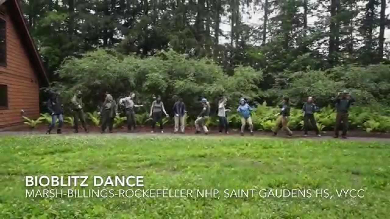 BioBlitz Dance 1080p