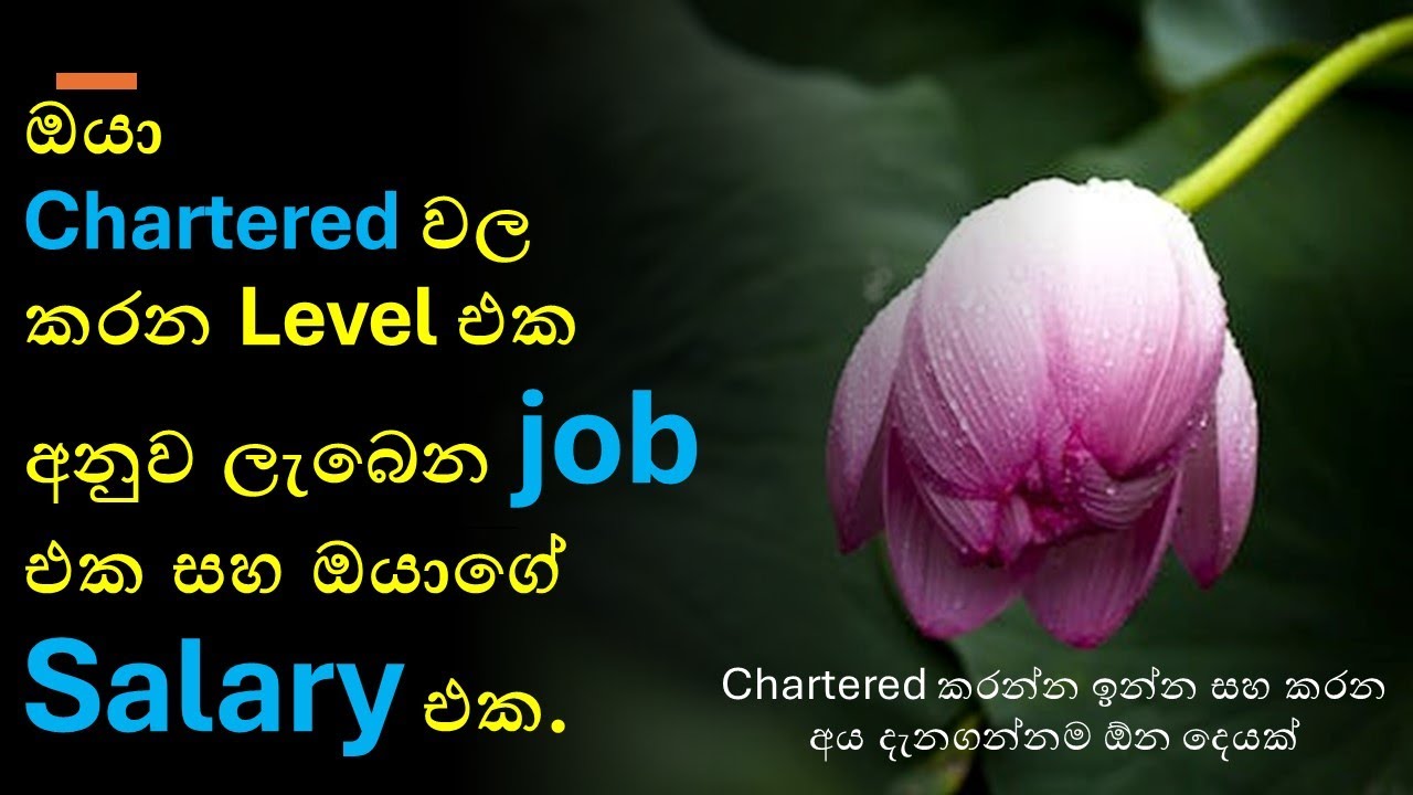 Chartered වල completed levels අනුව ලැබෙන jobs සහ salary.