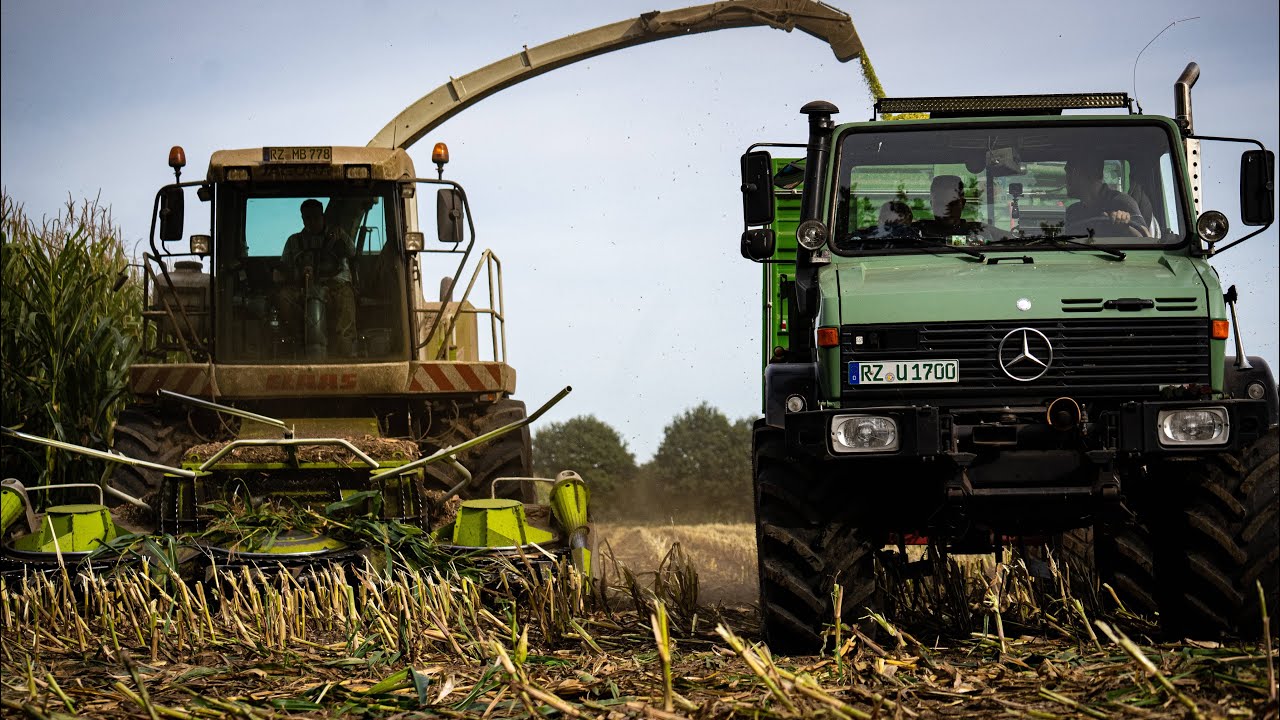 🌽Unimog 🌽 Mais-Häckseln 2020! Unimog U1700,U1600,U1300,MB-TRAC 1500,Case. Corn-Harvest!