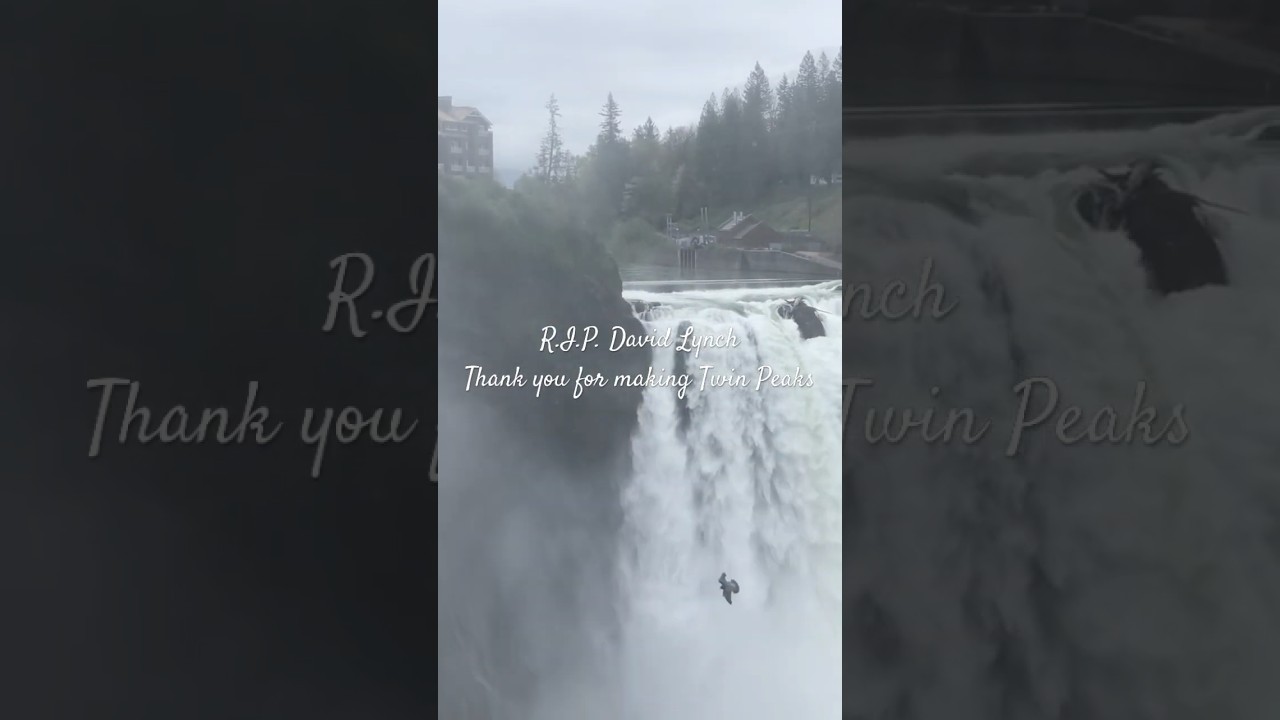 R.I.P. David Lynch