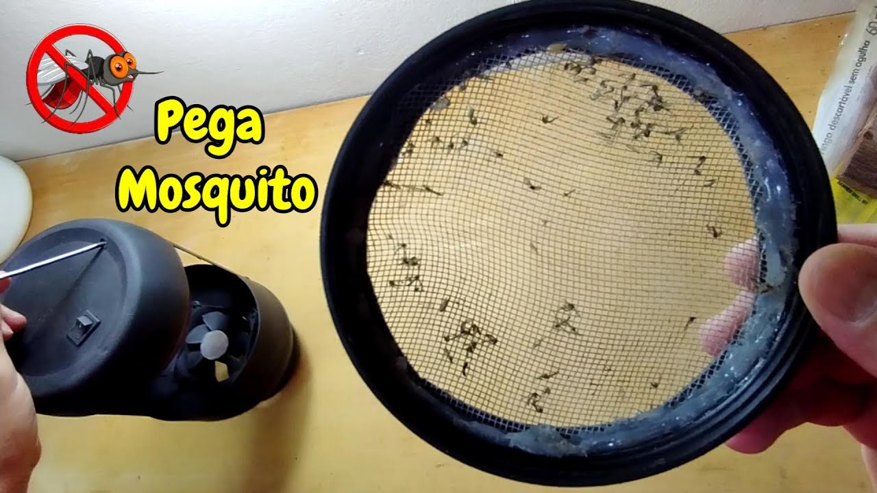 ARMADILHA DE MOSQUITO - Pega mosquitos e pernilongos