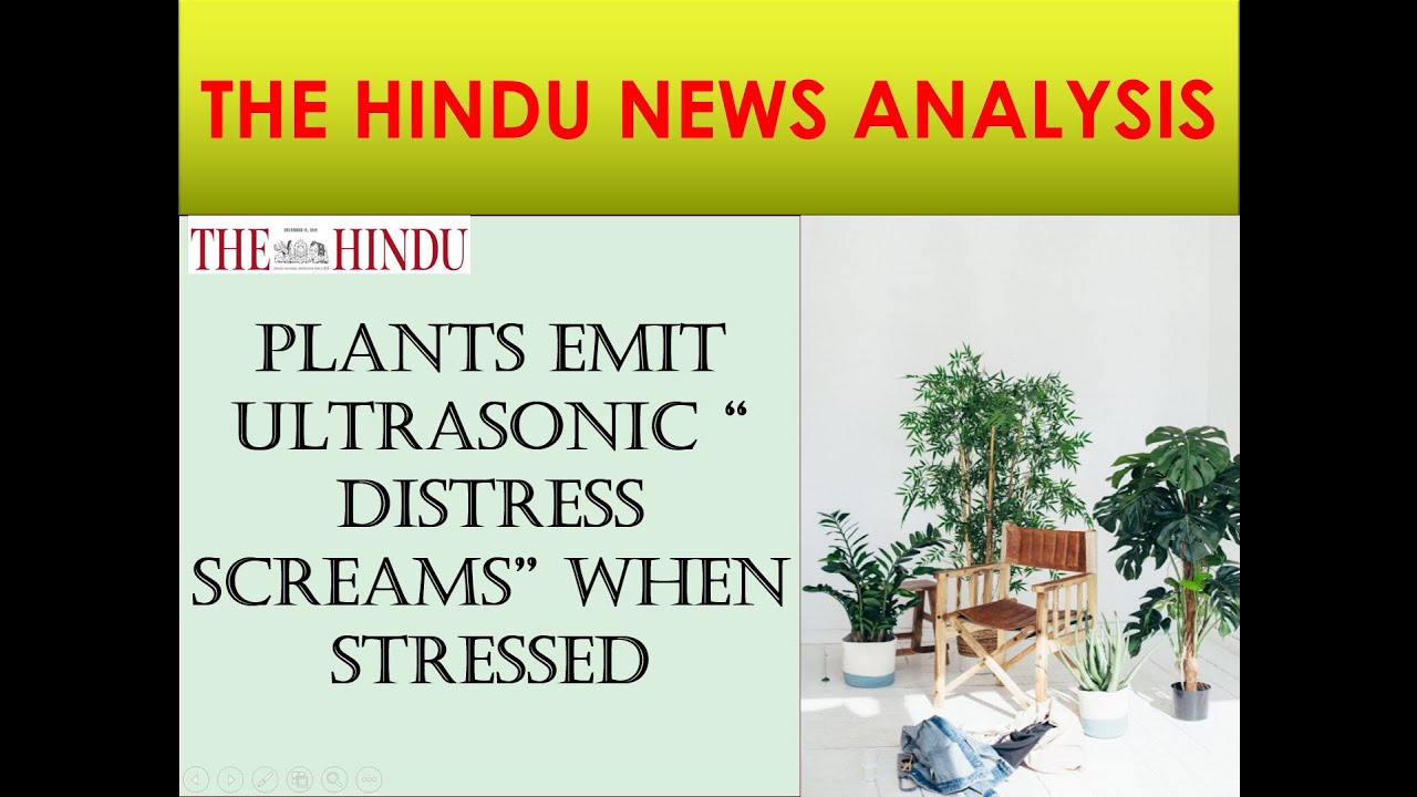 THE HINDU NEWS ANALYSIS. ( A RESEARCH ON PLANT BEHAVIOR) 16-12-2019