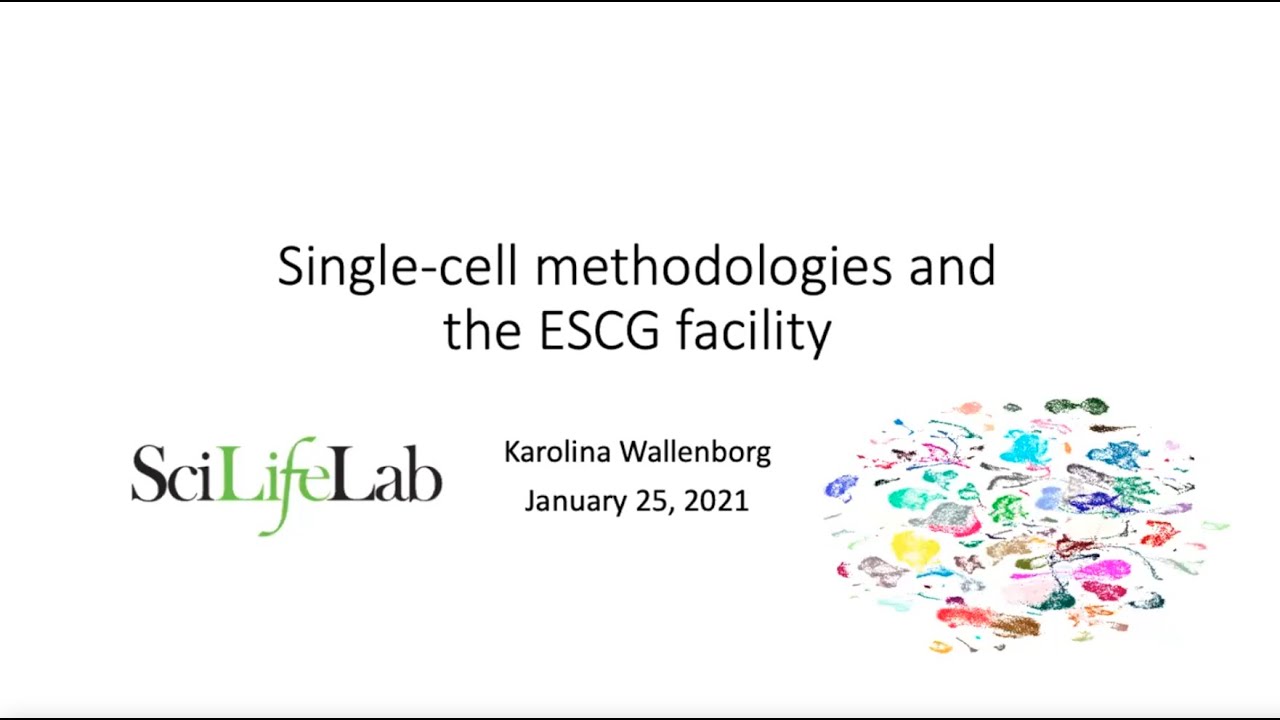 01 Single Cell Technologies &mdash; 05 CITEseq