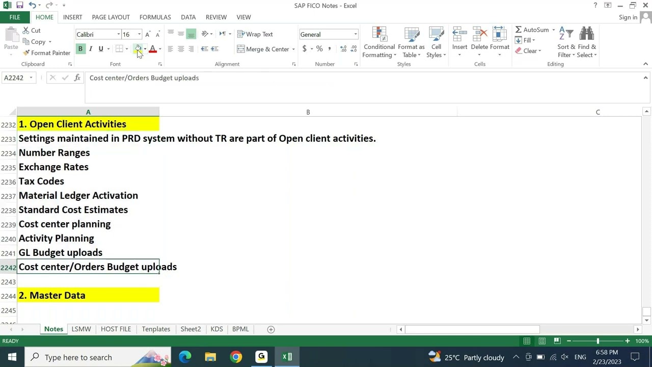 FICO CUTOVER ACTIVITIES   BASICS 01