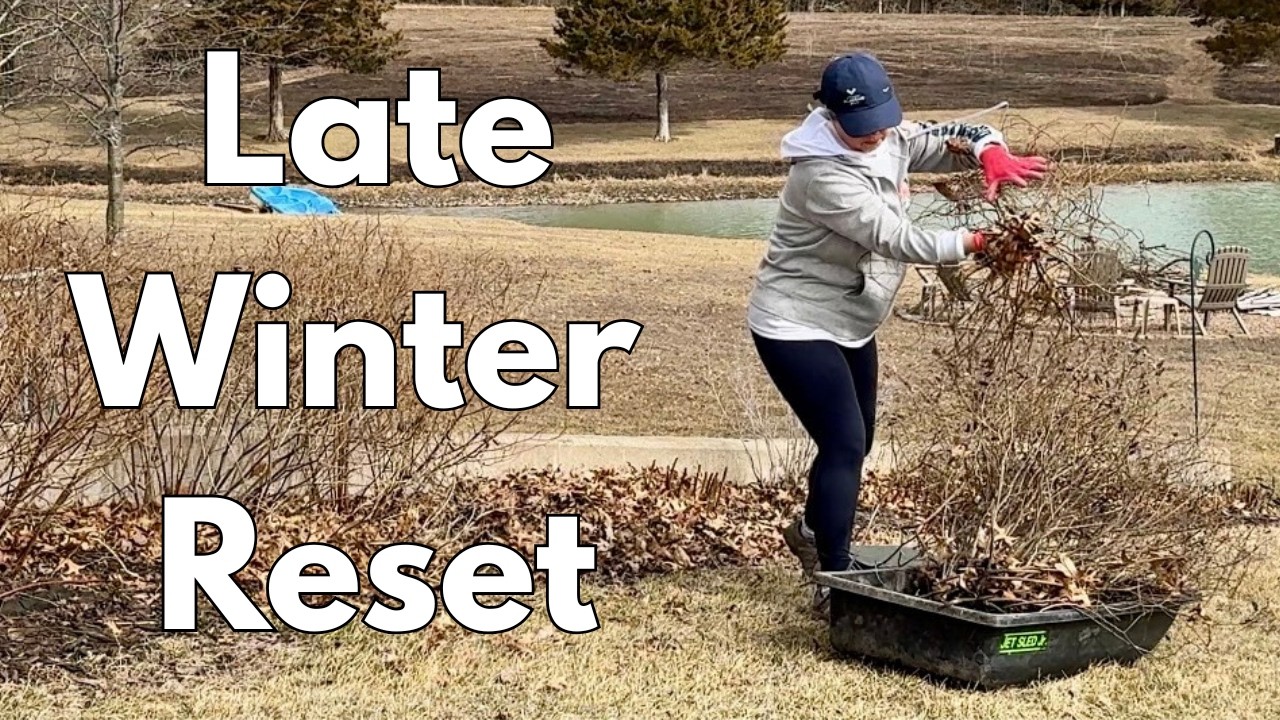 Late Winter Garden Tasks: Make FREE Leaf Mulch + Prune Hydrangeas, Hibiscus & More