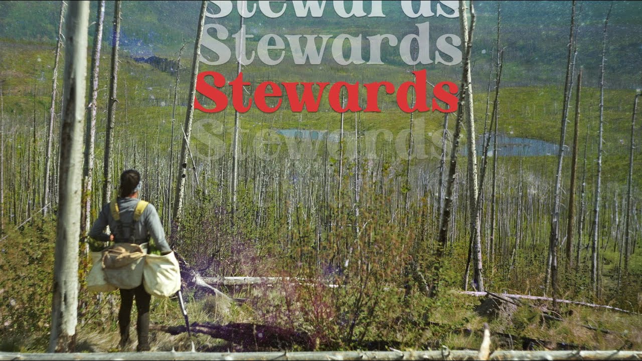 Stewards (2023) | An Allegorical Journey into Canada's Coniferous Forest Crises - Full Documentary