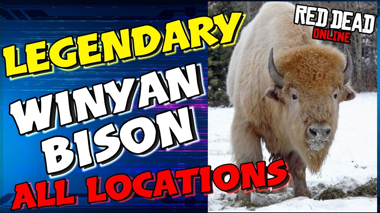 Legendary Winyan Bison All locations RDR2 Online garment set Guide