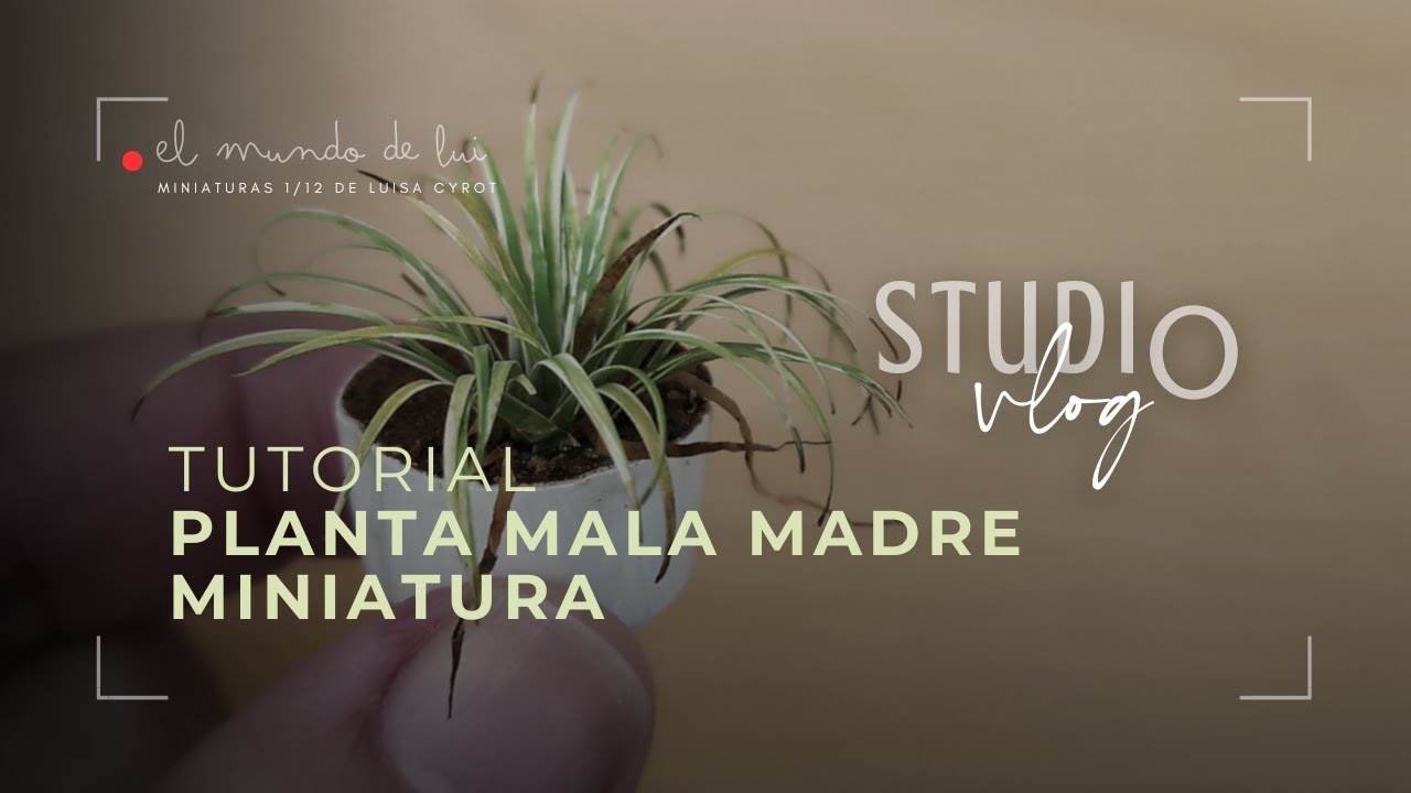 [1/12] Mini planta mala madre #dollhouse
