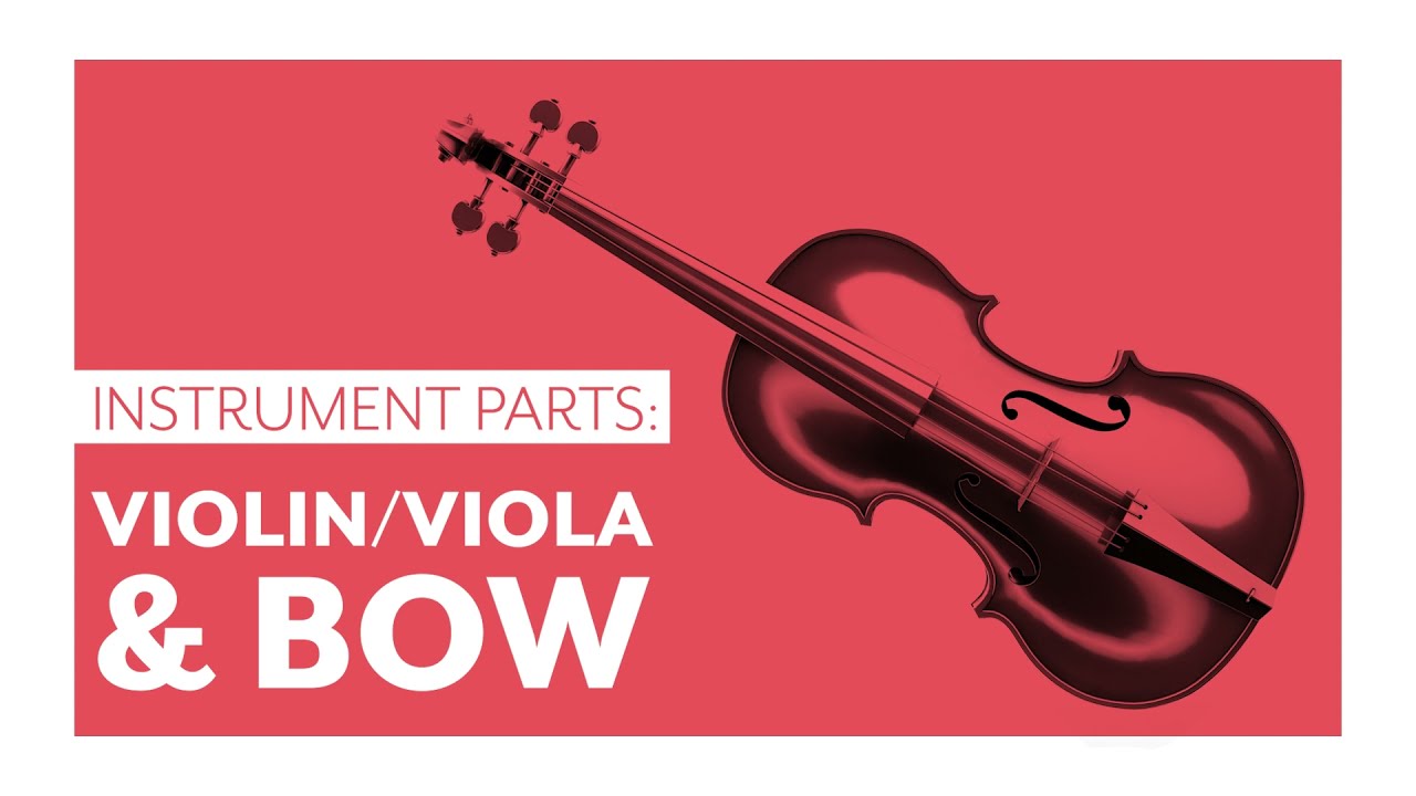 Instrument Parts for the Violin and Viola