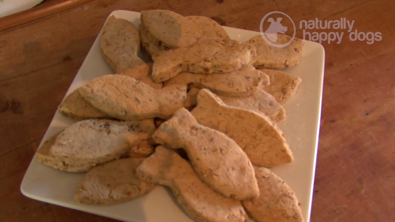 Homemade dog treats: tuna biscuits