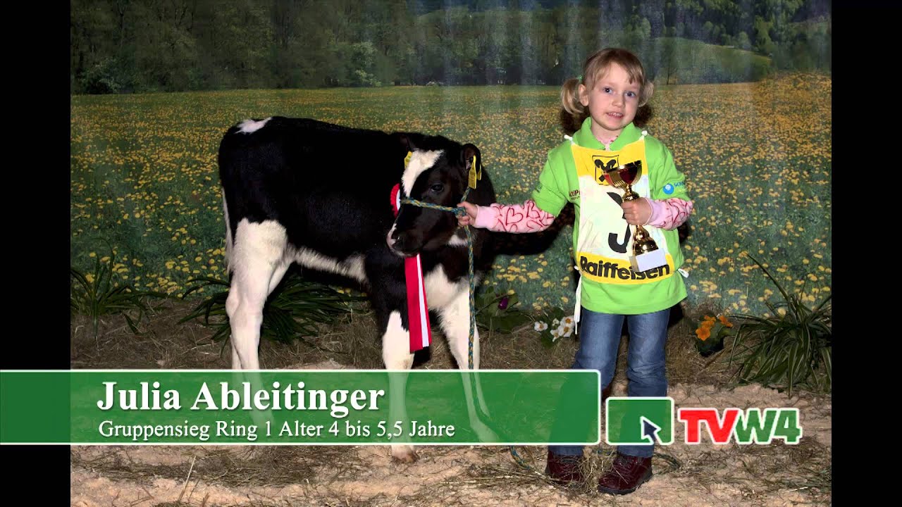 Zwettler Kuhfrühling 2013