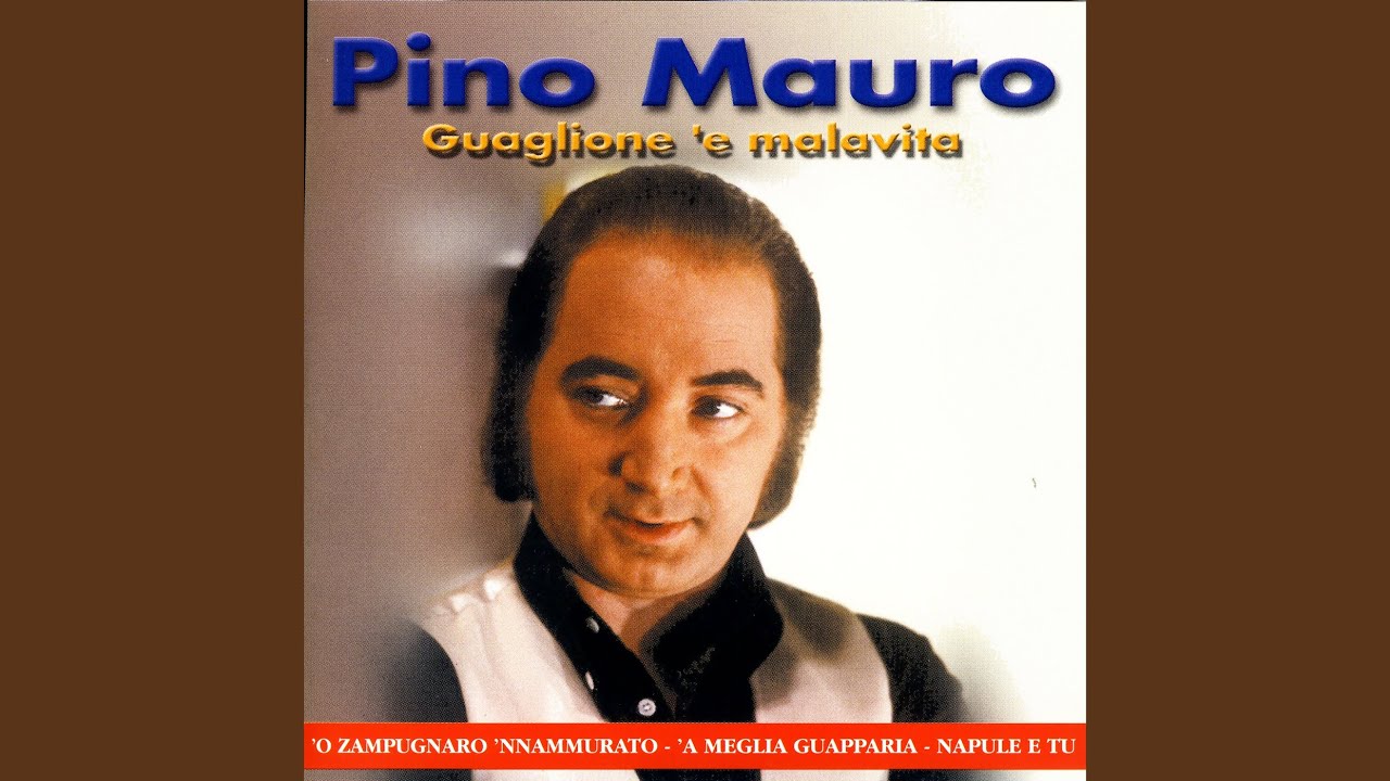 'O Zampugnaro 'Nnammurato