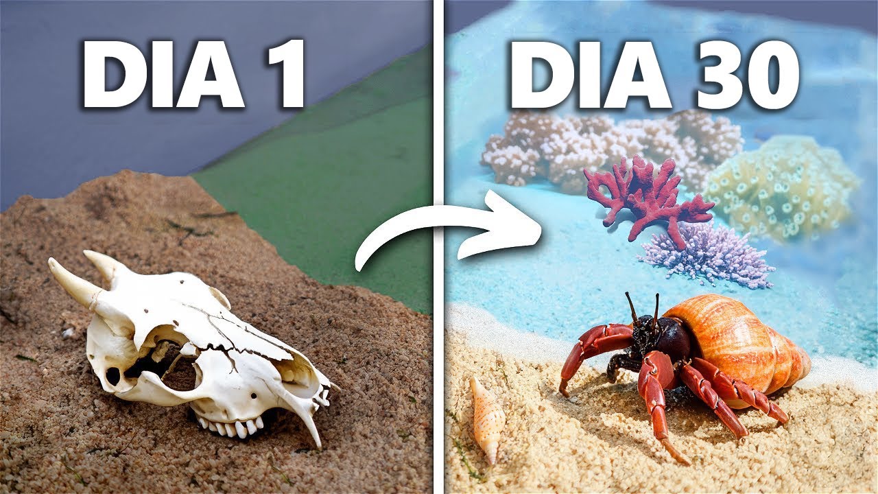 Simulando uma Praia Por 30 Dias