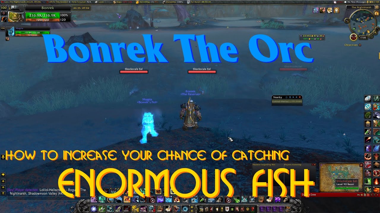 WoW: How To Increase Your Chance Of Catching Enormous Fish