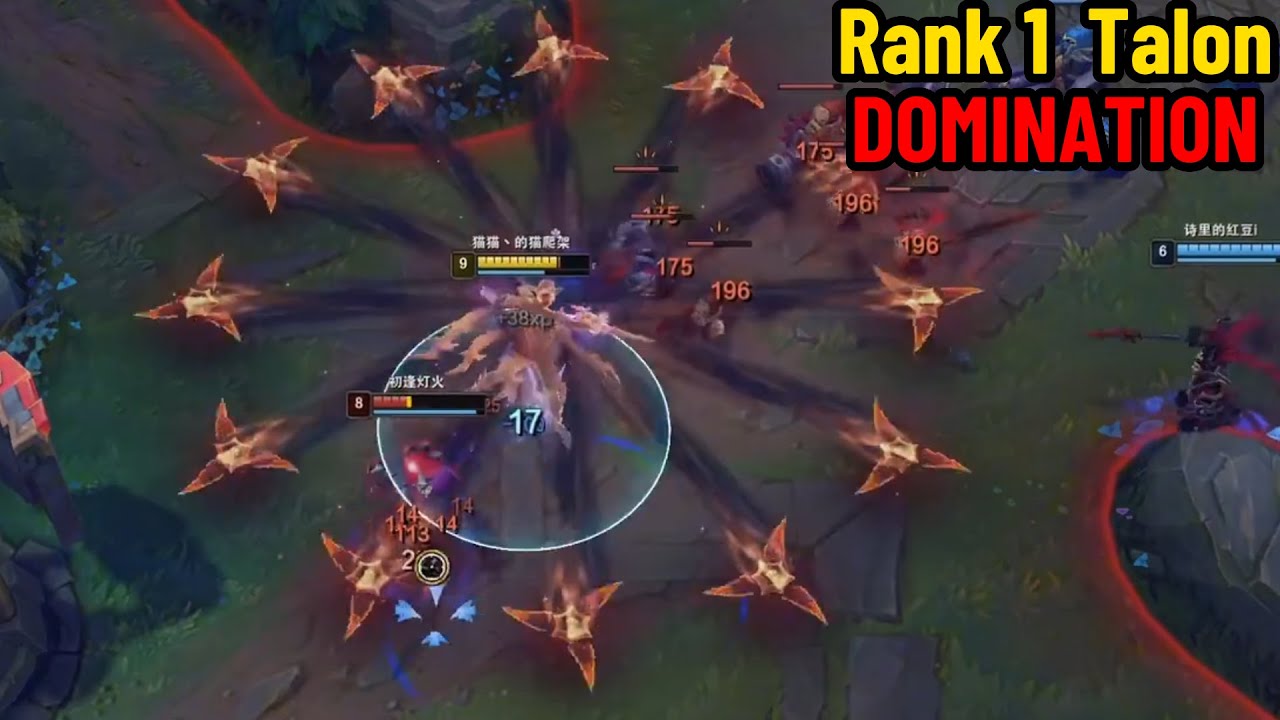 Rank 1 Talon: CN BEST Talon DOMINATING High Elo! *INSANE MECHANICS*