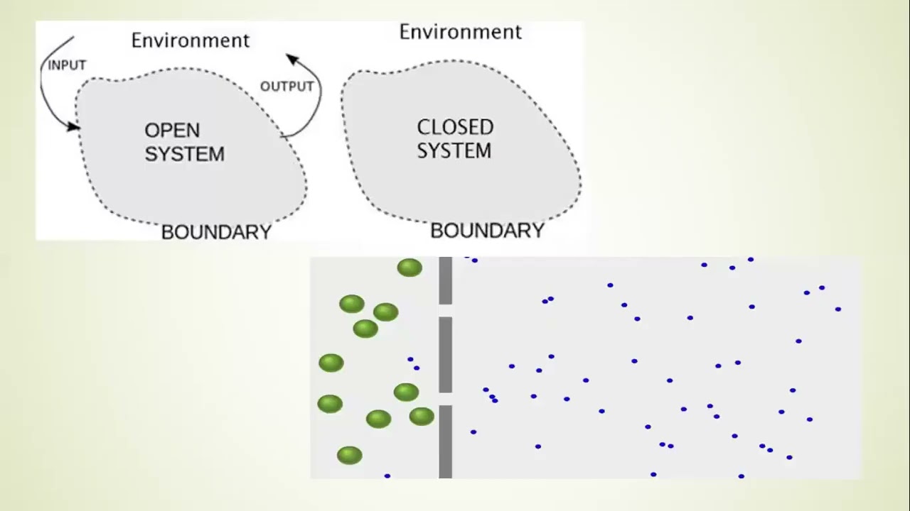 HBSE: Other Perspectives, Social Deviation, Social Change