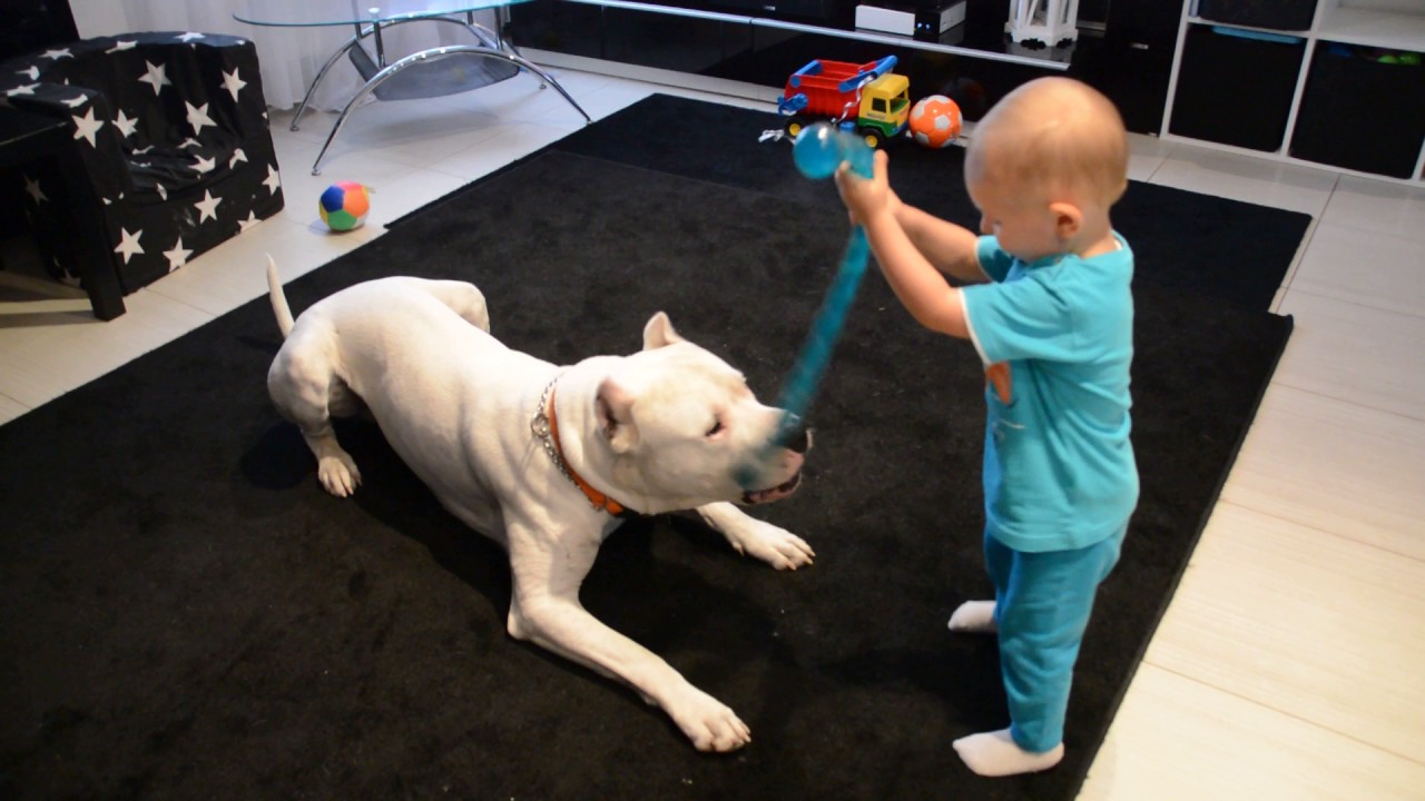 My son and Dogo Argentino