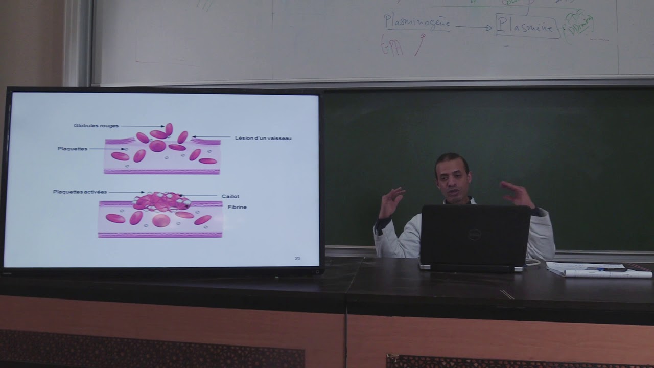 2ème année_Cours Hémostase 2 : Coagulation + fibrinolyse_Vidéo 1_partie 2//2019-2020