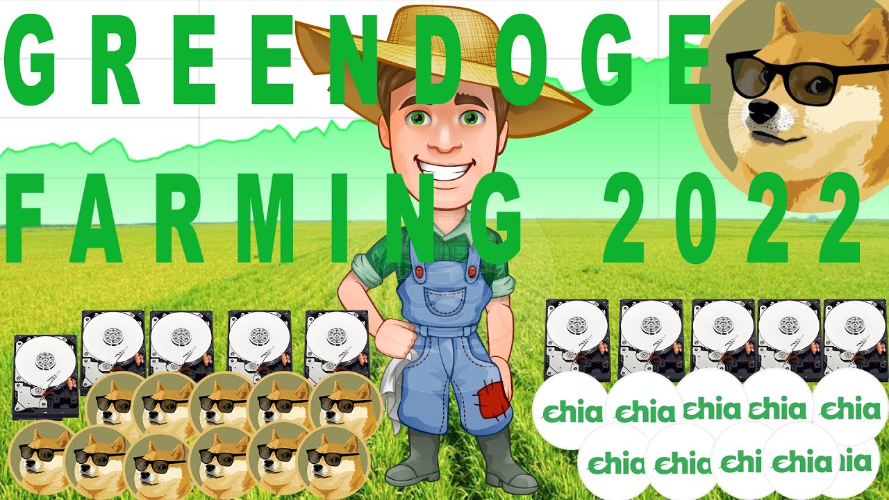 CHIA FORK GREEN DOGE GDOG COIN FARMING HDD PLOT 2022 COME FARMARE CON I PLOT NFT HARD DISK FORK