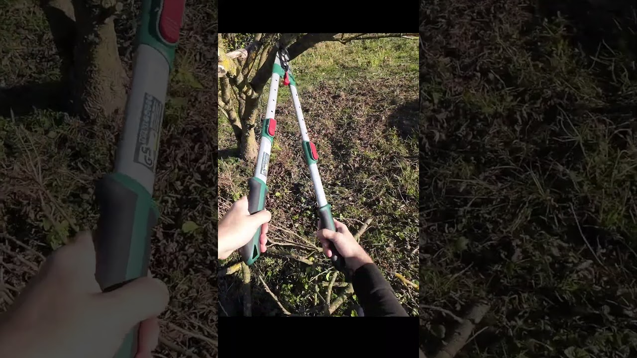 Parkside Telescopic Pruning Shears