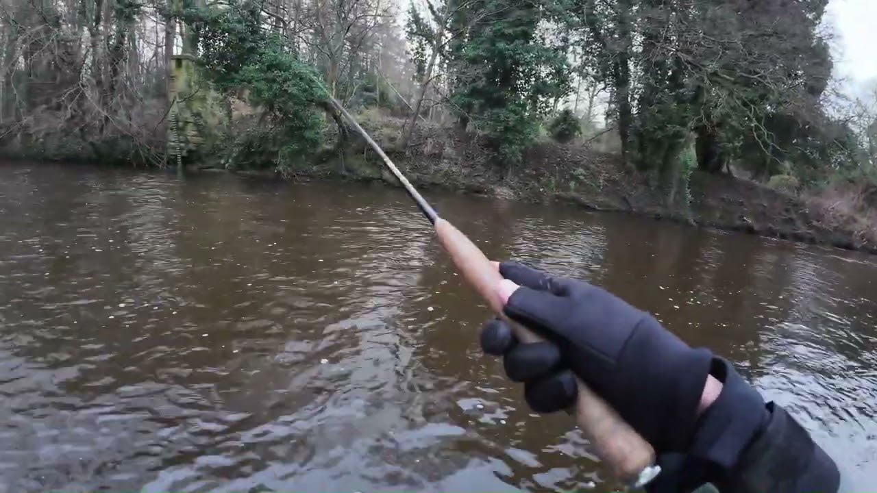 Grayling on the River Esk, Musselburgh