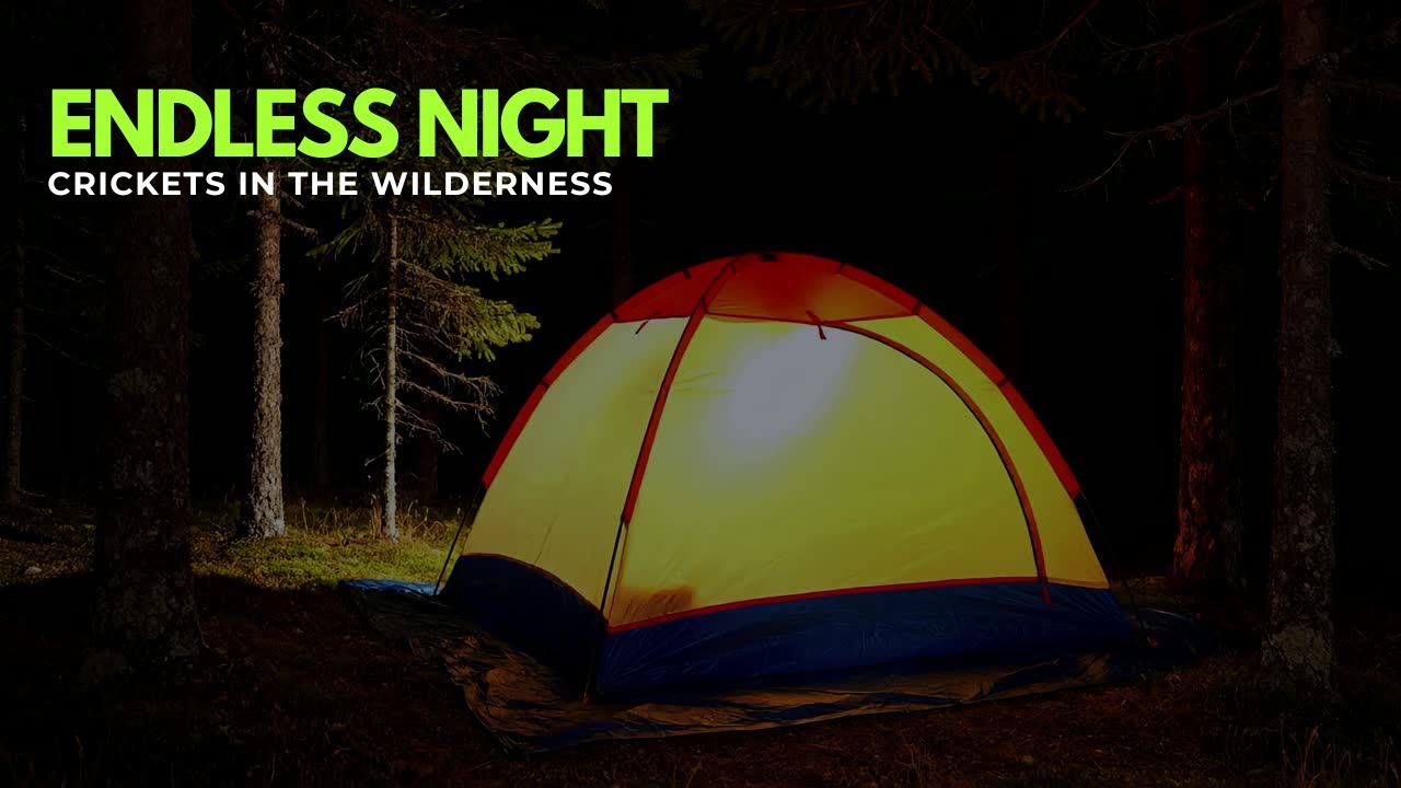 Endless Night: Crickets in the Wilderness