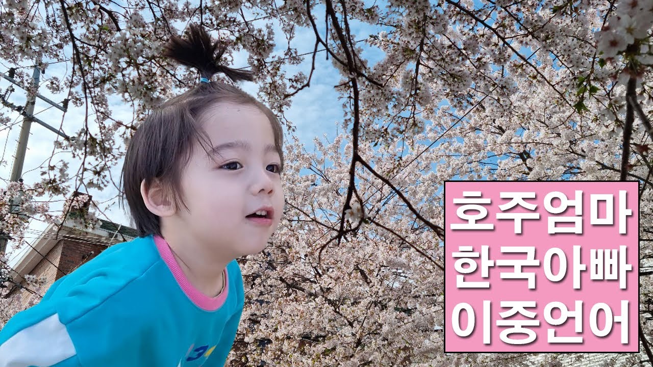 Cherry Blossoms Walk in Seoul / Bilingual Family / Korean and English
