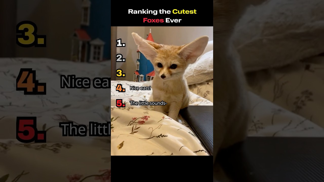 Cutest Foxes Ever Ranked (wait for #1 👀)