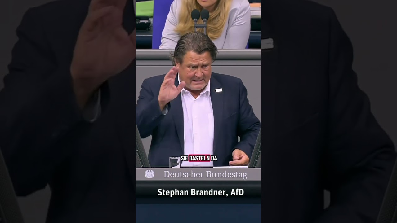 Sie verarschen die B&uuml;rger! #afd #stephanbrandner #bundestag