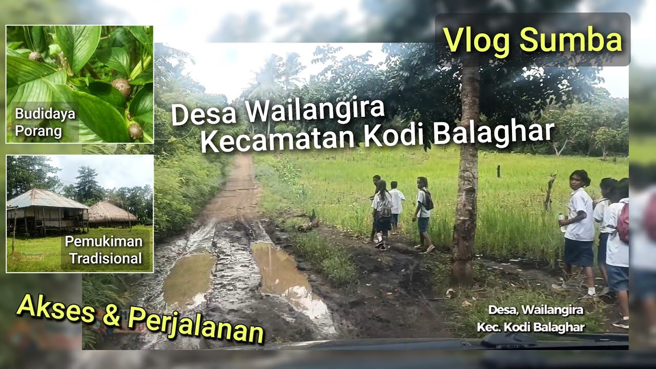 Akses dan Perjalanan Menuju Desa Wailangira, Kecamatan Kodi Balaghar - Vlog Sumba.