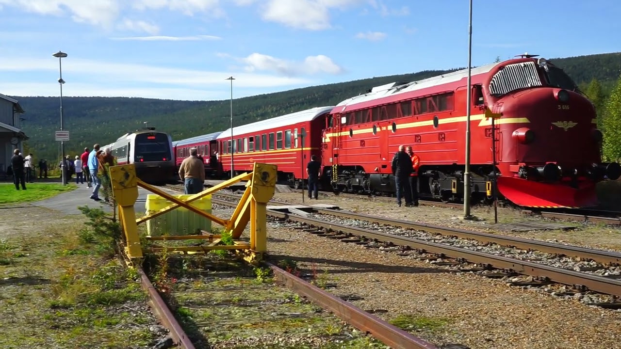 BS 9252 til Hamar krysser  Di 3.616 p&aring; Hanestad Stasjon.