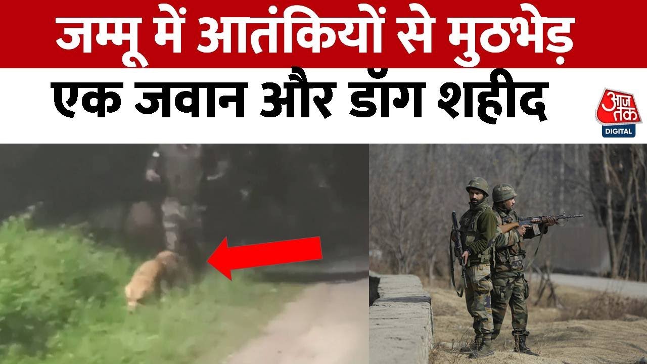 जम्मू में आतंकियों से मुठभेड़, एक जवान और डॉग शहीद | Jammu & Kashmir | Indian Army | Terrorist