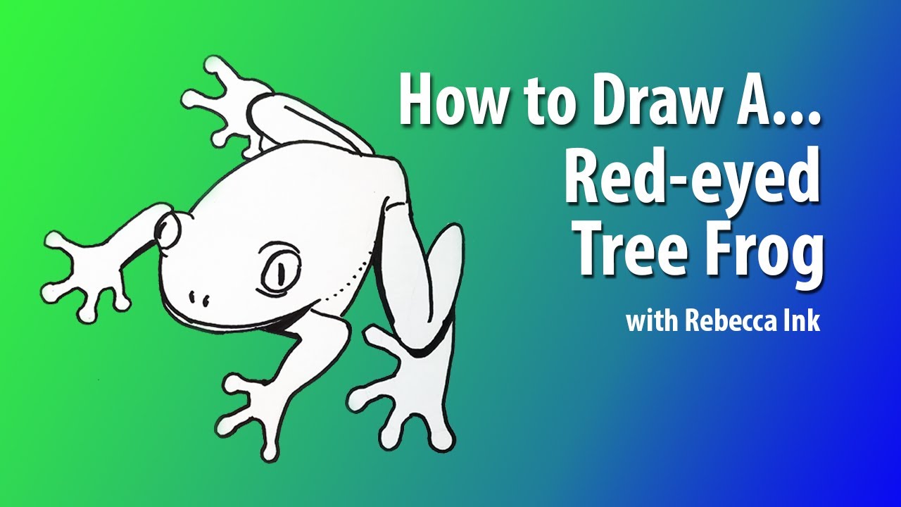 How to Draw A Red-eyed Tree Frog