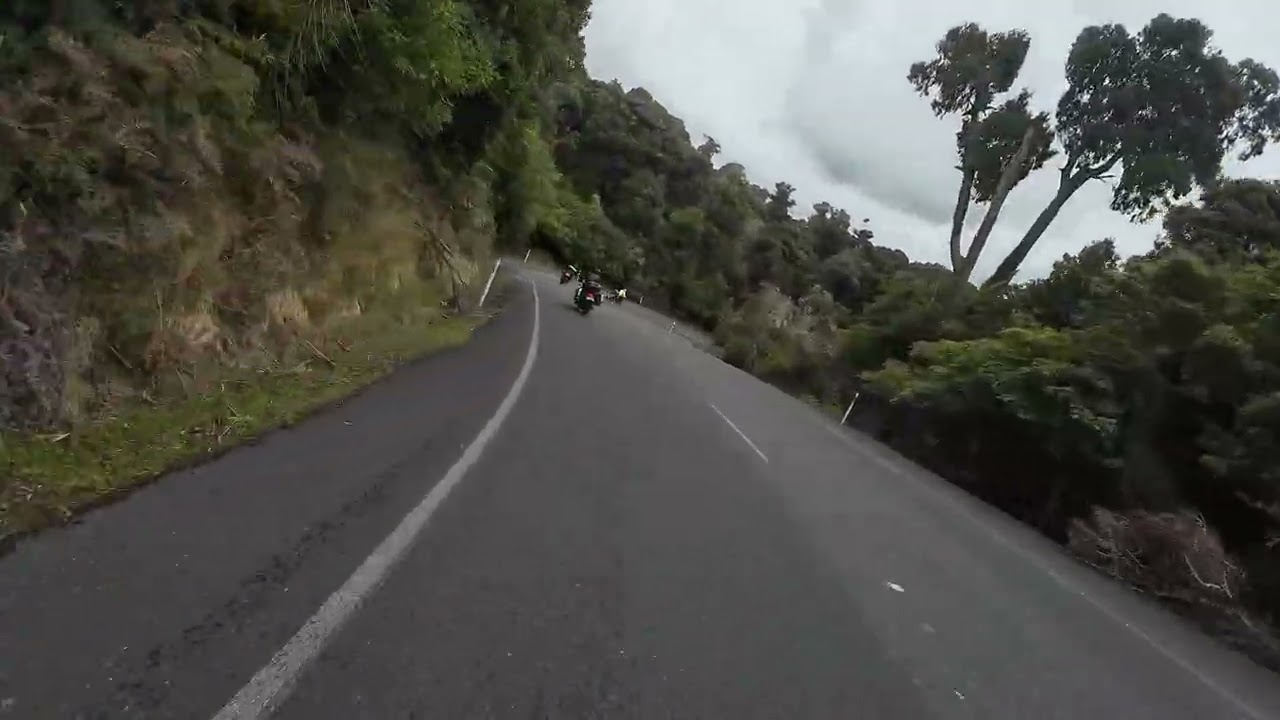Papatowai - home of the lost gypsy gallary and coffee stop 17.01.26