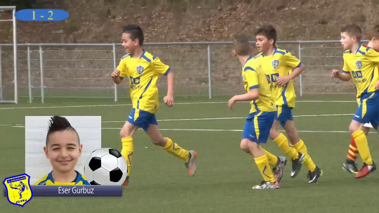 Samenvatting Veluwezoom - csv Apeldoorn