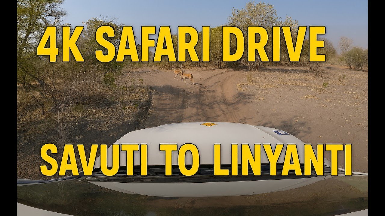 Driving Through Chobe National Park (Savuti & Linyanti) | 4K Botswana Safari Road Trip