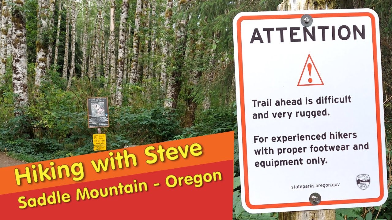 Hiking Saddle Mountain - Best Hike Near Seaside Oregon!