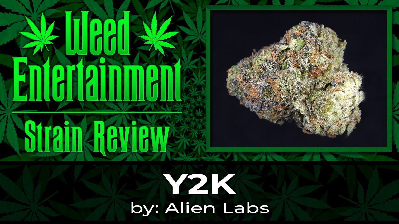 Y2K - by Alien Labs - Strain Review - September 2022