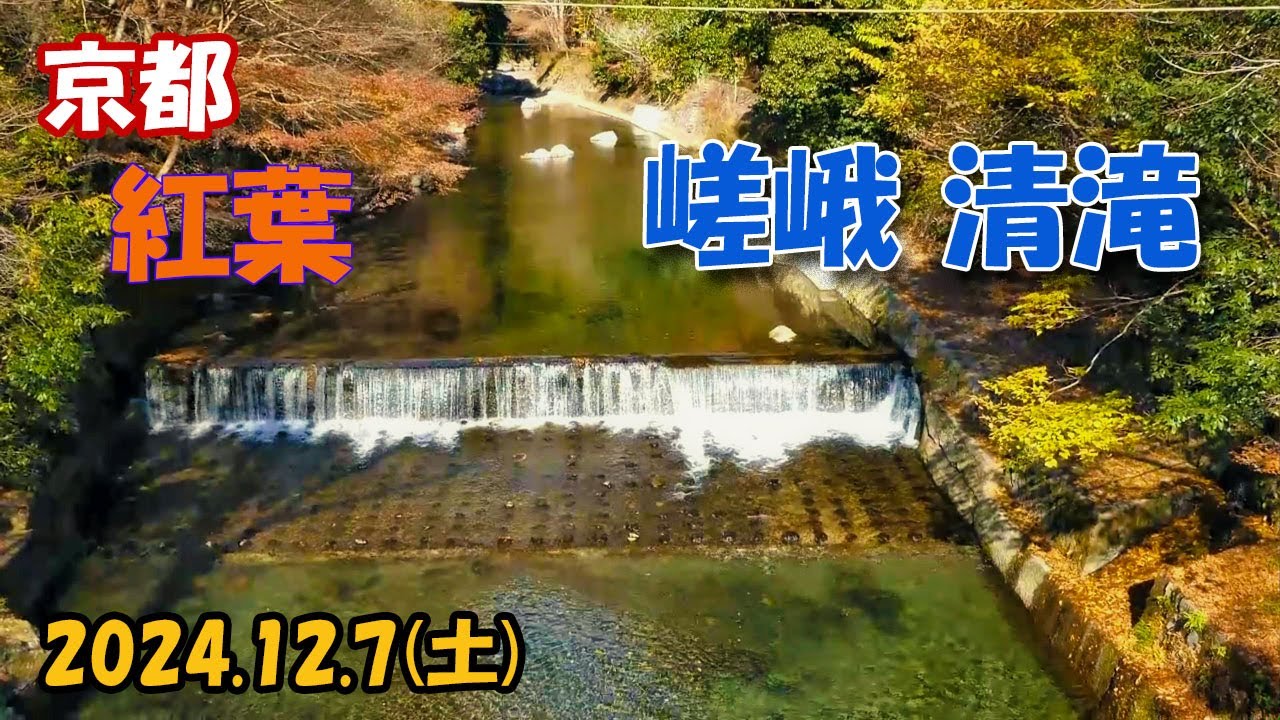京都【嵯峨･清滝】ぶらり散策☆終盤の紅葉！12/7(土)