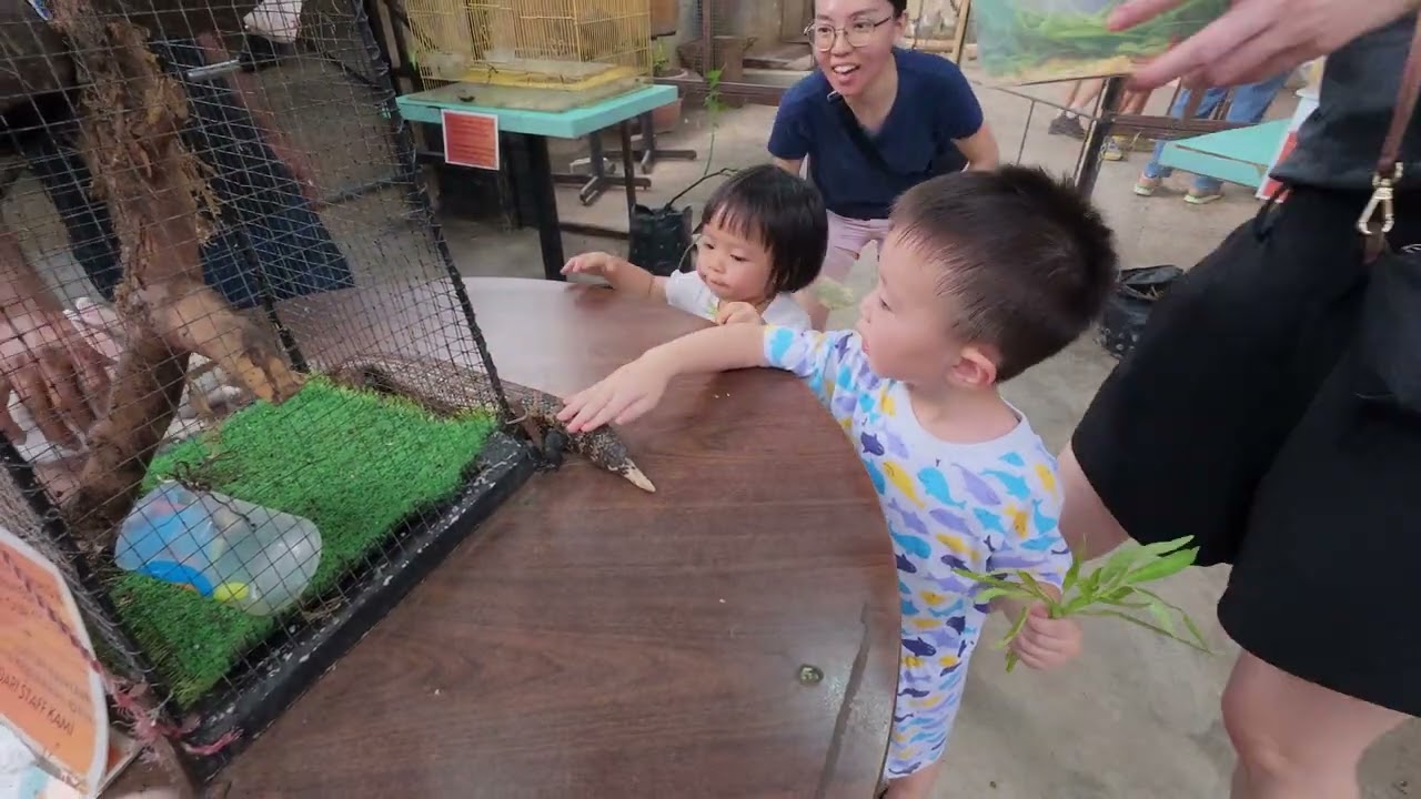 Day Out At Utama Farm Petting Zoo, Petaling Jaya