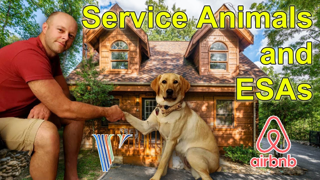How to handle Service Animals and Emotional Support Animals in your Airbnb or VRBO