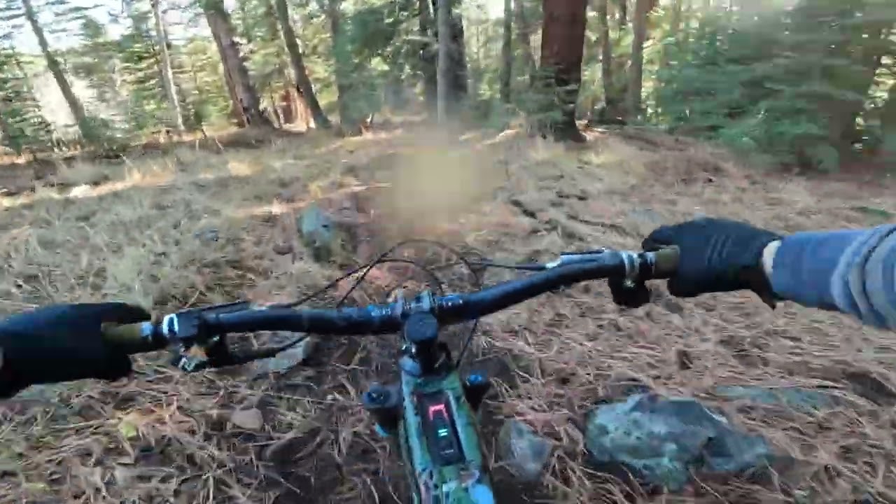 Last Dry Ride 2025