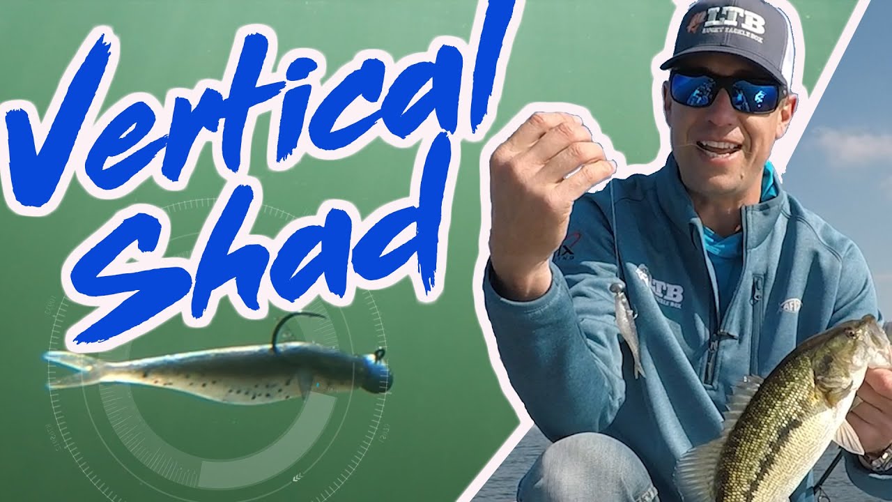 How To Fish For Vertical Bass
