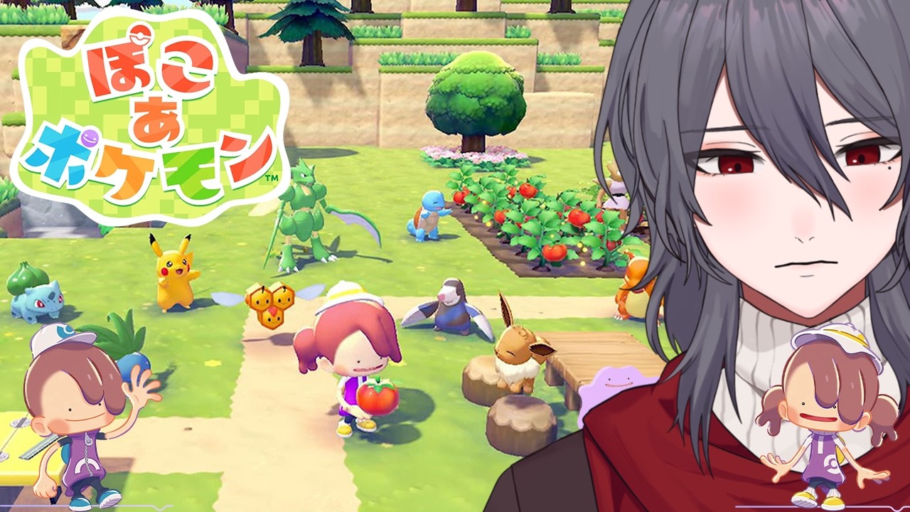 【ぽこ あ ポケモン】入団チャレンジをすすめよう！