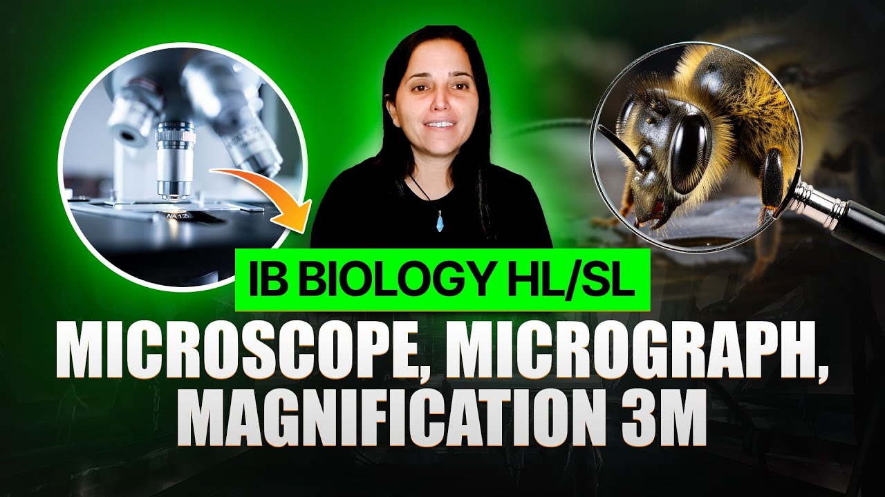 [IB Biology HL/SL] Microscope, Micrograph, Magnification 3M