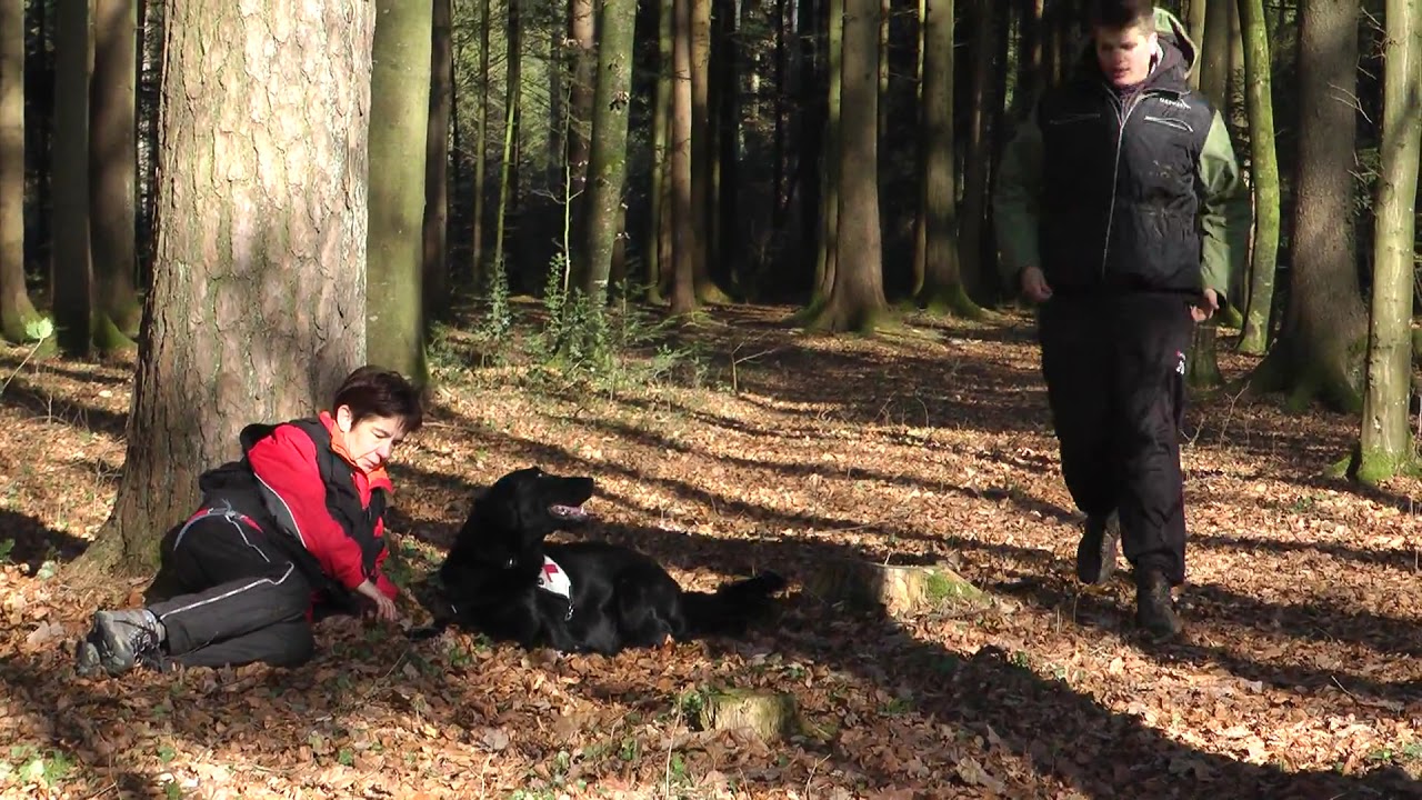 Sani Training - Bringsel 1
